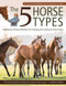 5 Horse Types (Traditional Chinese Medicine for Training and Caring for Every Horse) by Ina Gosmeier, 9781646010530