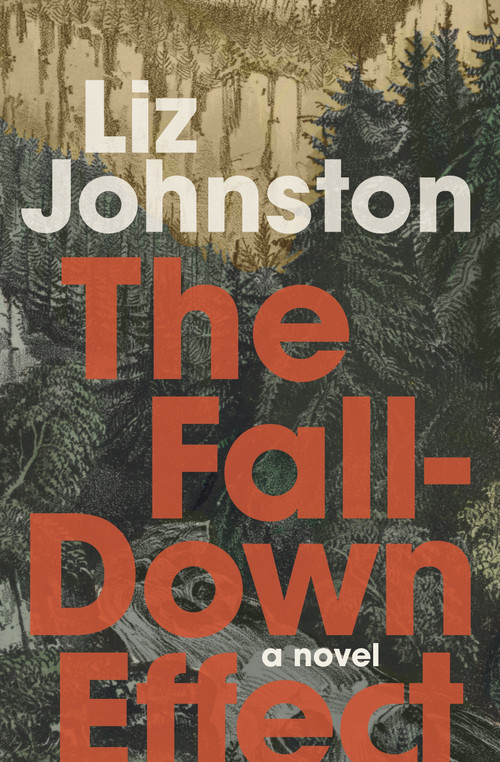 The Fall-Down Effect by Liz Johnston, Liz Johnston, 9781771669627
