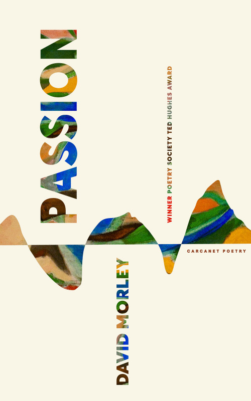 Passion - 9781800174818 by David Morley, 9781800174818