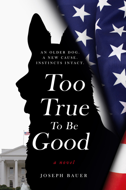 Too True To Be Good by Joseph Bauer, 9781963869002