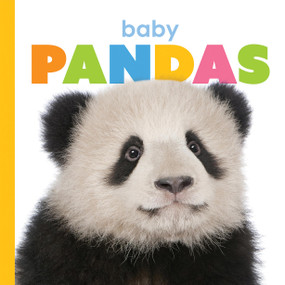 Baby Pandas - 9781568464534 by Kate Riggs, 9781568464534