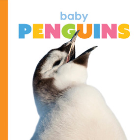 Baby Penguins - 9781568464558 by Kate Riggs, 9781568464558