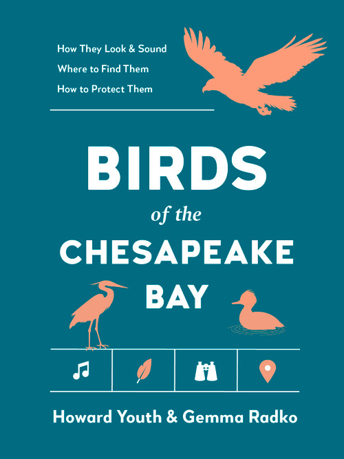 Birds of the Chesapeake Bay by Howard Youth, Gemma Radko, 9781643264158