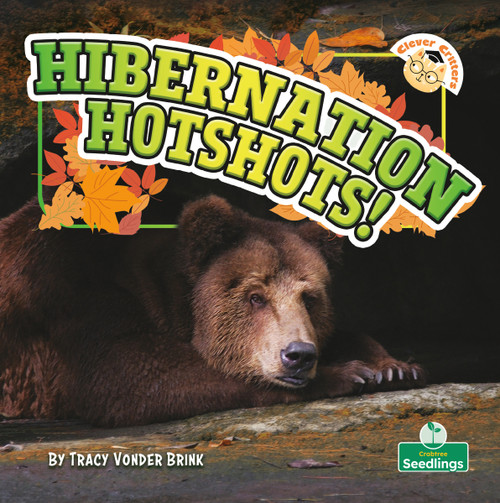 Hibernation Hotshots! by Tracy Vonder Brink, 9781039881105