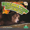 Hibernation Hotshots! by Tracy Vonder Brink, 9781039881105