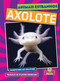 Axolote (Axolotl) (Portuguese Edition) by Amy Culliford, 9781039881310