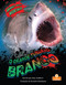 O Grande Tubarão-branco (Great White Shark) (Portuguese Edition) by Amy Culliford, 9781039881297