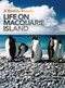 Hostile Beauty (Life on Macquarie Island) by Alistair Dermer, Danielle Wood, 9780522855043