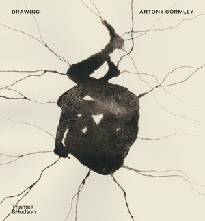 Drawing: Antony Gormley by Antony Gormley, Jeanette Winterson, Merlin Sheldrake, W.J.T. Mitchell, Daisy Hildyard, Margaret Iversen, 9780500029282