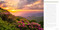 100 Hikes of a Lifetime U.S.A. (The Country's Ultimate Scenic Trails) by Stephanie Pearson, 9781426224867