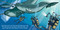 Good Night Narwhals by Adam Gamble, Mark Jasper, Harvey Stevenson, 9781649071583