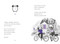 Bibsy Cross and the Time Capsule - 9780593644522 by Liz Garton Scanlon, Dung Ho