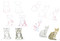 How to Draw Kittens in simple steps by Susie Hodge, 9781800921085