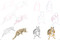 How to Draw Mountain Animals in simple steps by Susie Hodge, 9781782218883
