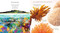 Creatures of the Coral Reef by Martin Jenkins, Jason Cockcroft, 9781536250091