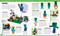 LEGO Minecraft Diccionario visual (Visual Dictionary) (Spanish Edition) by Elizabeth Dowsett, 9798217135646