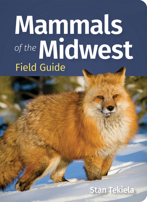 Mammals of the Midwest Field Guide (Miniature Edition) by Stan Tekiela, 9781647555917