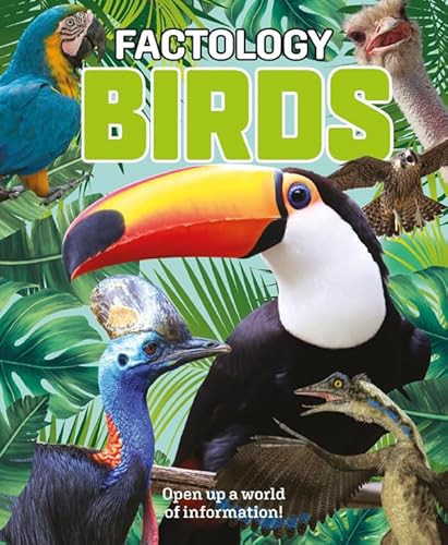 Factology: Birds (Open Up a World of Information!) by , 9781787081833