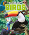 Factology: Birds (Open Up a World of Information!) by , 9781787081833