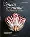 Veneto in Cucina: The Flavours of Veneto by Luciana Sampogna, Franco Cogoli, 9788831403511