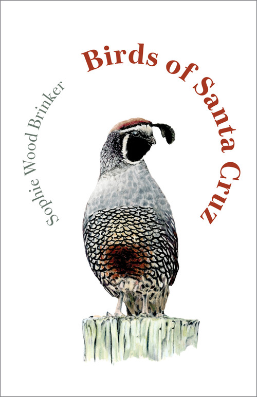 Birds of Santa Cruz by Sophie Wood Brinker, 9781597147095