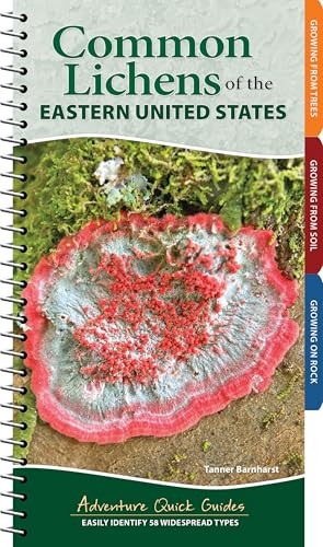 Common Lichens of the Eastern United States (Easily Identify 58 Widespread Types) by Tanner Barnharst, 9781647556006