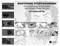 Mastering Storyboarding (Professional Techniques for Visual Storytelling) by Caroline Hu, 9781032985077