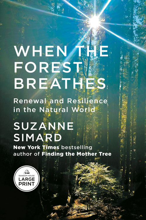 When the Forest Breathes (Renewal and Resilience in the Natural World) - 9798217287833 by Suzanne Simard
