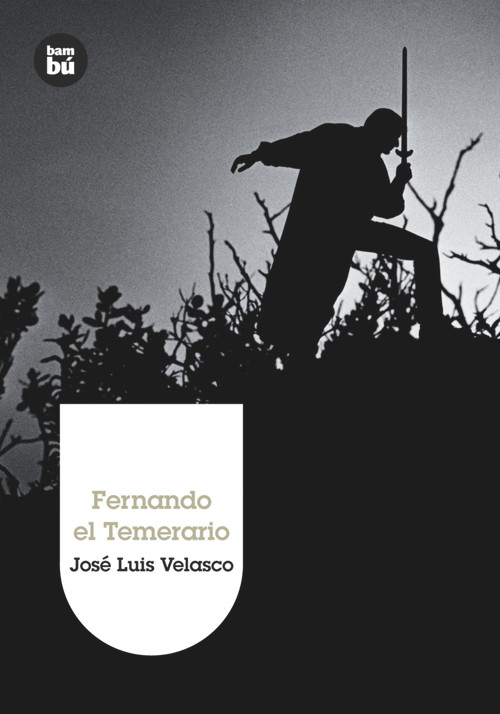 Fernando el Temerario (Spanish Edition) by José Luis Velasco, 9788483430323