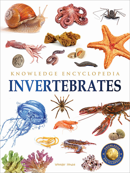 Animals: Invertebrates by Wonder House Books, 9789354400247