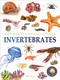 Animals: Invertebrates by Wonder House Books, 9789354400247