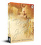 Romeo and Juliet - 9788175992849 by William Shakespeare, 9788175992849