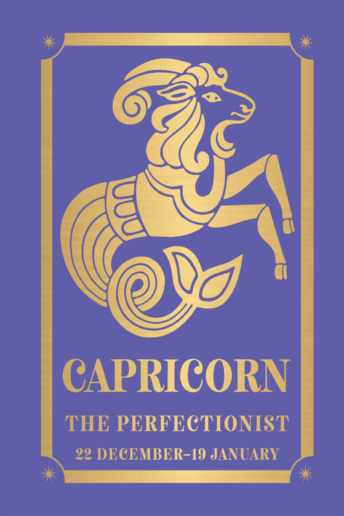 Capricorn: The Perfectionist by Fingerprint! Publishing, 9789362142849