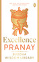 Excellence - 9789362145758