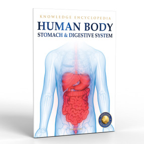 Human Body (Stomach And Digestive System) by Wonder House Books, 9789389931228