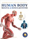 Human Body - Skeletal And Muscular System: Knowledge Encyclopedia For Children by Wonder House Books, 9789389931242