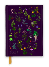 Anna Stead: For Spells & Potions (Foiled Journal) by Flame Tree Studio, 9781835626795