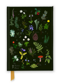 Anna Stead: The Forest Floor (Foiled Journal) by Flame Tree Studio, 9781835626801