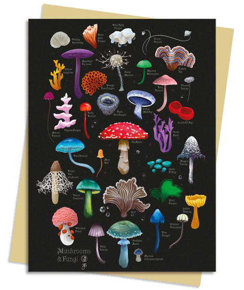 Anna Stead: Mushrooms & Fungi Greeting Card Pack (Pack of 6) by Flame Tree Studio, 9781835627006