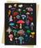 Anna Stead: Mushrooms & Fungi Greeting Card Pack (Pack of 6) by Flame Tree Studio, 9781835627006
