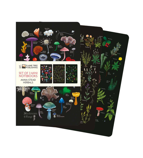 Anna Stead: Herbals Set of 3 Mini Notebooks by Flame Tree Studio, 9781835627020