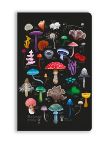 Anna Stead: Mushrooms & Fungi (Soft Touch Journal) by Flame Tree Studio, 9781835627327