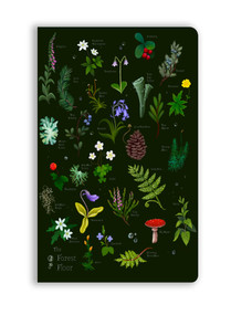 Anna Stead: The Forest Floor (Soft Touch Journal) by Flame Tree Studio, 9781835627334