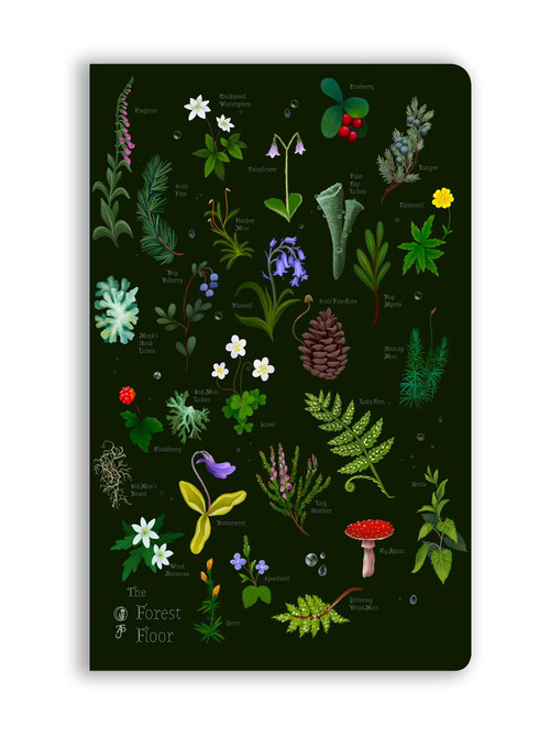 Anna Stead: The Forest Floor (Soft Touch Journal) by Flame Tree Studio, 9781835627334