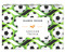 Soccer Trivia by Chronicle Books, 9781797240435