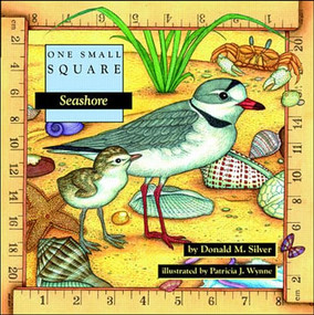 Seashore - 9780070579286 by Donald M. Silver, Patricia Wynne, 9780070579286