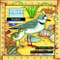Seashore - 9780070579286 by Donald M. Silver, Patricia Wynne, 9780070579286
