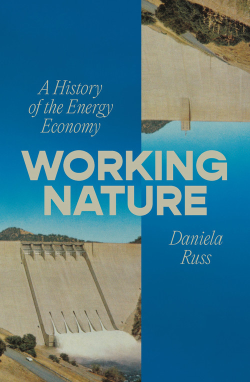 Working Nature (A History of the Energy Economy) by Daniela Russ, 9781804298978
