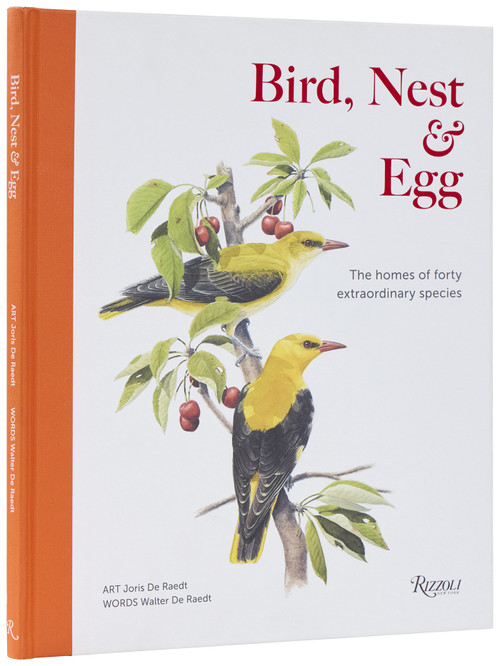 Bird, Nest & Egg (The Homes of Forty Extraordinary Species) by Walter De Raedt, Joris De Raedt, 9780847875900
