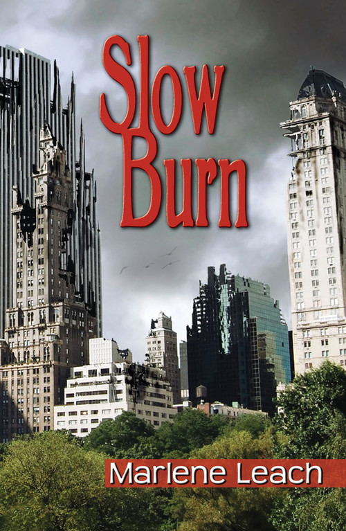 Slow Burn - 9781935226789 - 9781935226789 by Marlene Leach